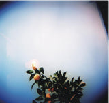 Anton & HOLGA 120N Rollfim Camera Optical Glas Lens