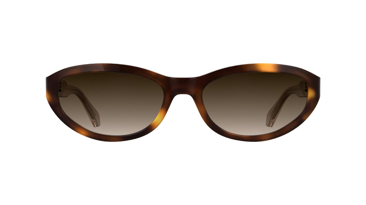 CALVIN KLEIN JEANS CKJ25618S Sunglasses, Havana, Talla única para Mujer