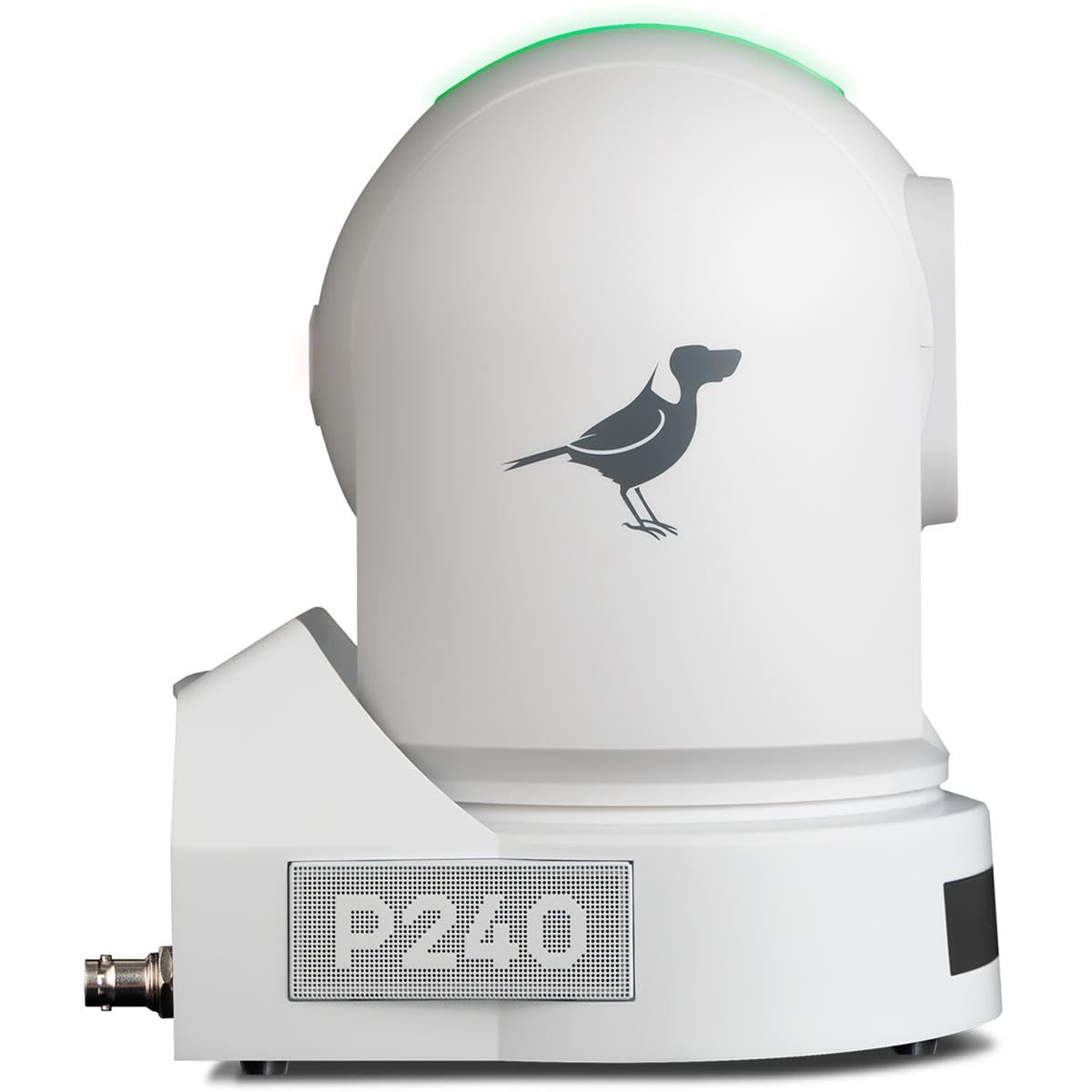 BirdDog P240 PTZ Camera 1080P in White Full NDI