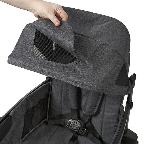 Radio Flyer Voya Stroller Wagon, Cochecito Doble, 2 Asientos Altos Cara a Cara, toldo Ajustable con protección UV, Bandeja para Aperitivos, Gris