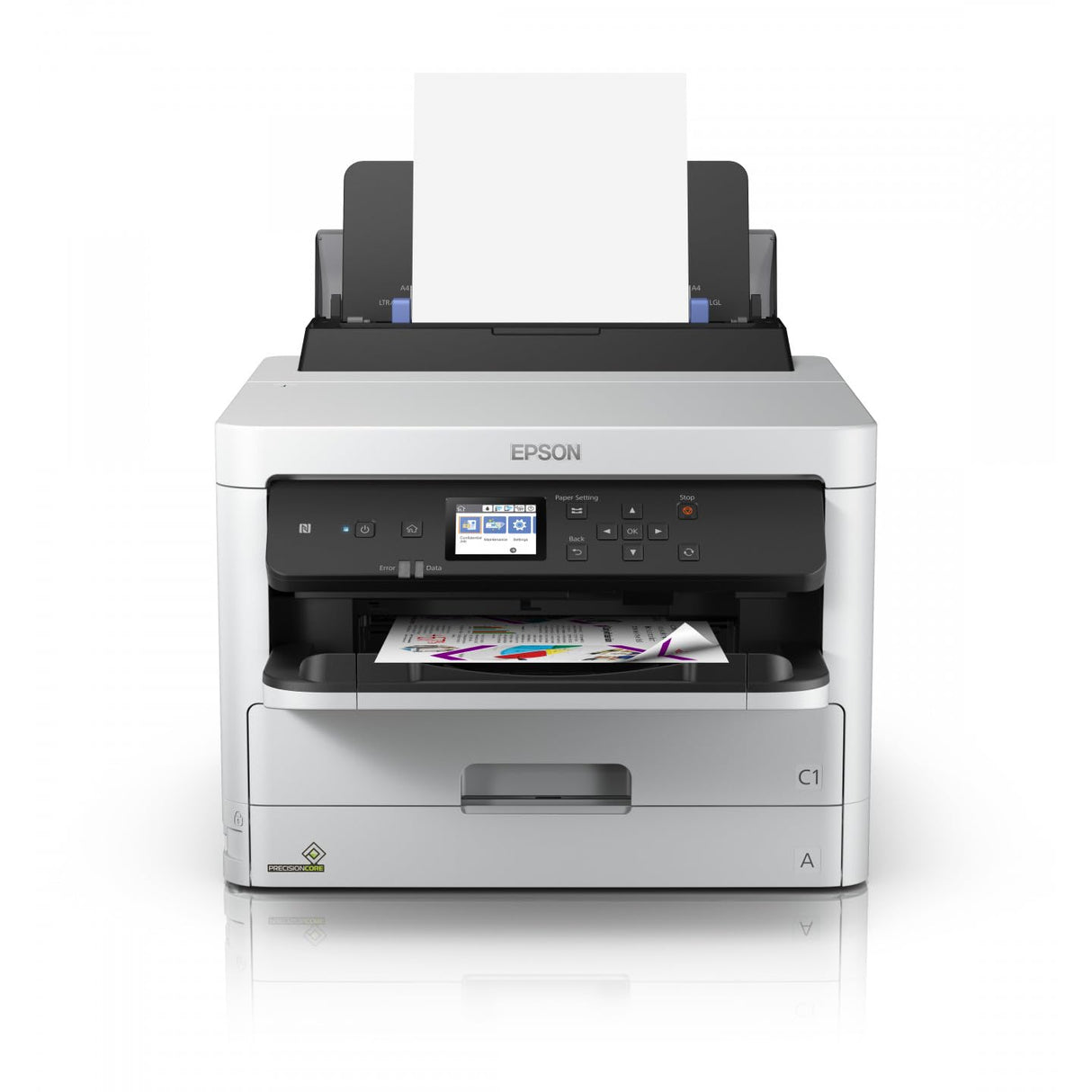 Epson C13T01C100 tinta negro XL 10000 lados alta capacidad