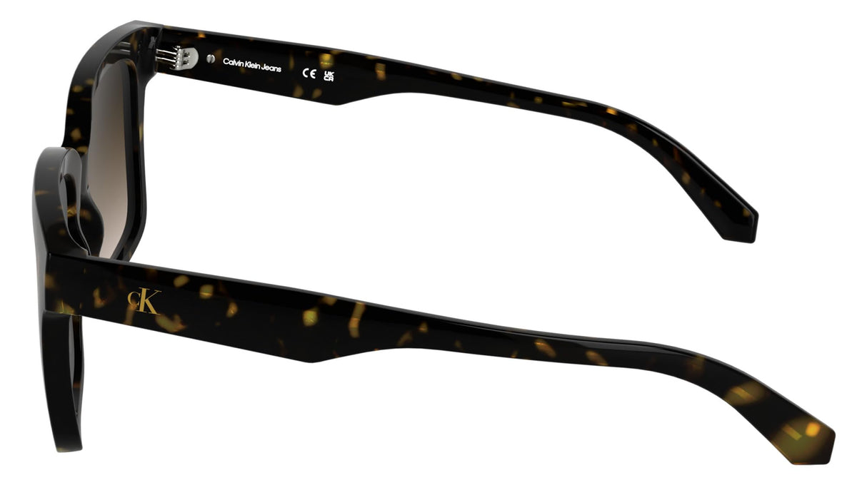 CALVIN KLEIN JEANS CKJ25624S Sunglasses, Dark Havana, Talla única para Mujer