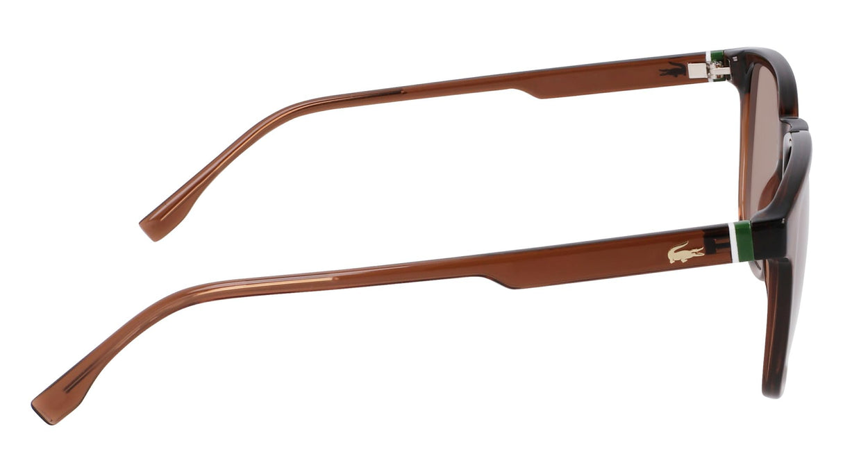 Lacoste Gafas de Sol L6029S 210 TRANSPARENT BROWN 53/19/145 Hombre