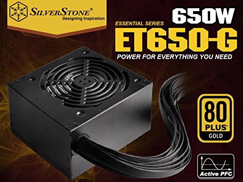 SilverStone Technology SST-ET650-G v1.2 - Serie Strider Essential, 650W 80 Plus Gold ATX PC Fuente de alimentación, 120mm, EPS Dual de 8 Pines con Soporte para múltiples Conectores PCI-E 8/6 Pines