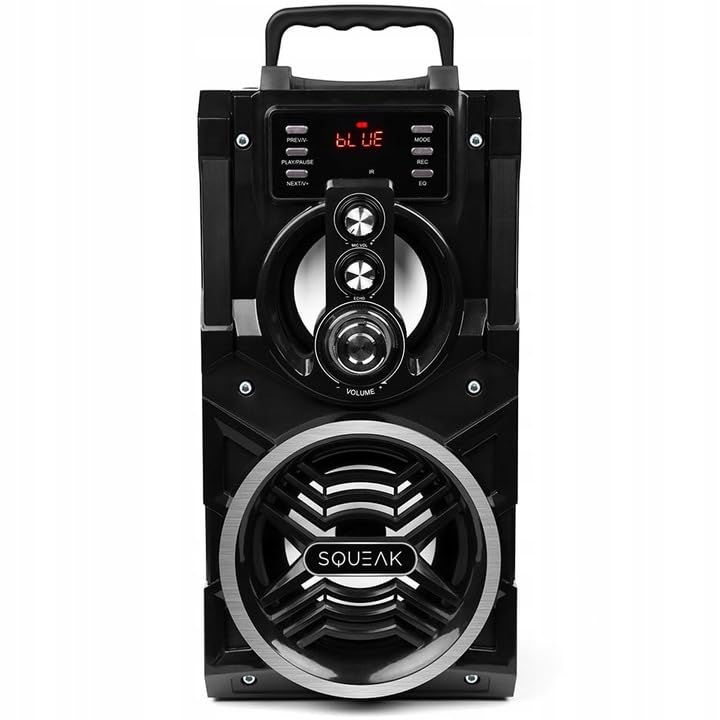 Altavoz Bluetooth Portátil SQ1000 Negro 20 W