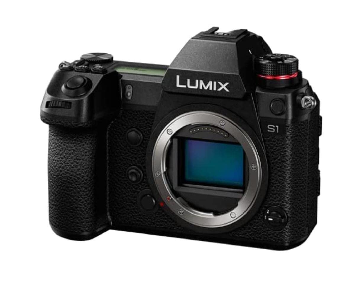 Panasonic Lumix DC-S1 - Cámara Digital de 25,28 megapíxeles Black