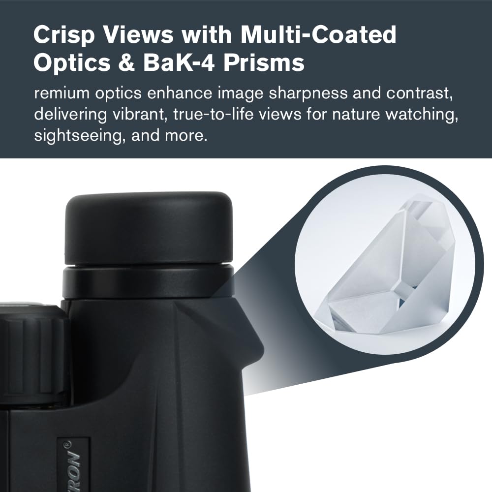 Celestron 71348 10 x 50 Outland X: prismáticos, negro