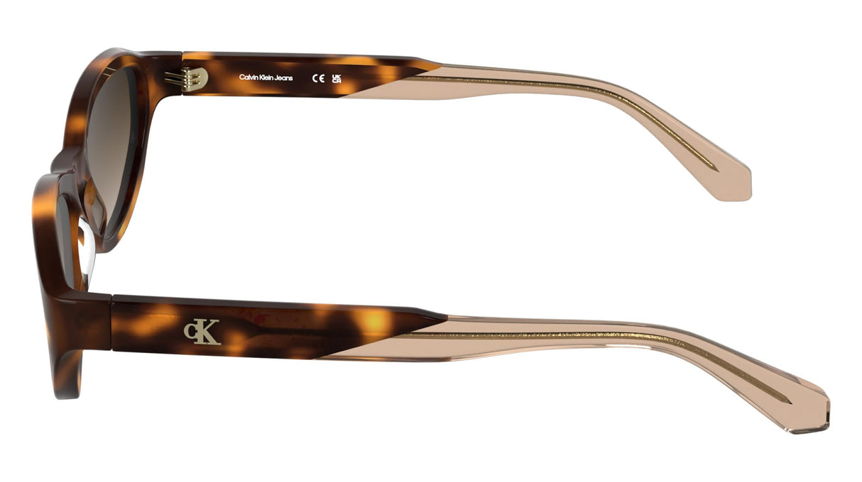 CALVIN KLEIN JEANS CKJ25618S Sunglasses, Havana, Talla única para Mujer