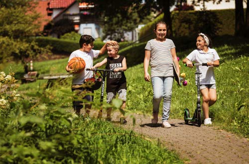 HUDORA Scooter BigWheel 205 - Rodillo de aluminio estable - Patinete urbano ajustable y plegable con soporte - Patín deportivo para niños y adultos hasta 100kg
