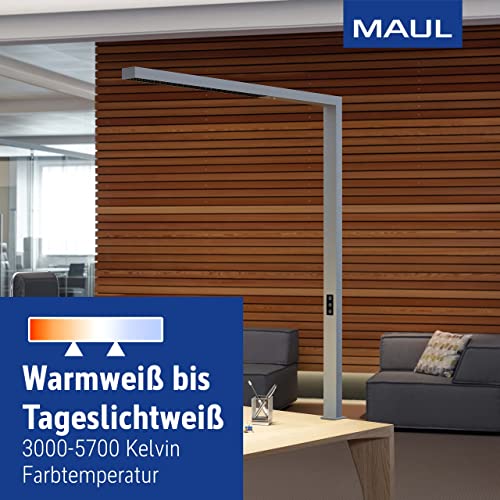 MAUL MAULsirius 8259395, Lámpara de pie con pinza y detector de movimiento, regulable, sensor de luz diurna, para oficina, estación de trabajo, pinza de mesa, 8750 lúmenes, color plateado