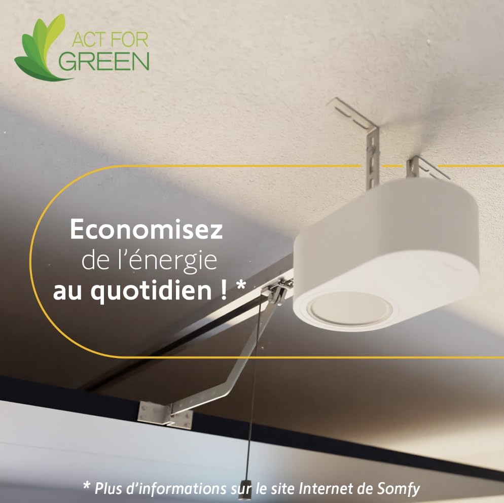 Somfy 1246483 - Serenia 700 io Connect - Motorización para puerta de garaje, motor puerta de garaje para puertas máx. 2,35 m H y 3 m L, fabricado en Francia, compatible con TaHoma