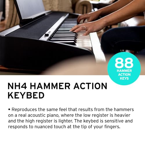 Korg B2 BK - Piano digital Negro