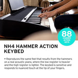 Korg B2 BK - Piano digital Negro