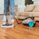 Cecotec Vaporeta de Trineo Hydrosteam 2000 Easyhome Max, 2000 W de potencia, 60 g/min, 5 bares de presión, 7,5 m radio acción, Depósito XXL 2 litros, 150 min ininterrumpidos, kit Accesorios
