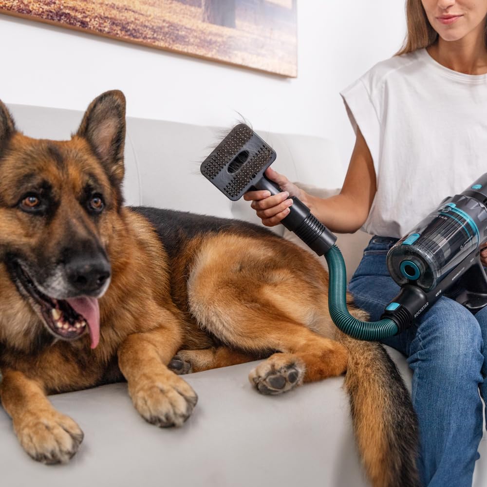 Cecotec Aspirador Escoba sin Cable Conga Rockstar 2500 Thunder Flex Animal. Ciclón Paralelo, 400W, 30 kPa y 122 AW, 65mins de Autonomía Máxima, Tubo Flexible, Cepillo Jalisco y Accesorio Animales