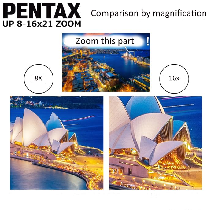 Pentax 8-16 x 21 Sport Optics UP Binocular - Green