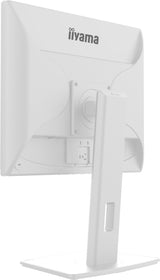 iiyama Monitor de Escritorio, B1980S-W1-19, TN, 1280x1024/75Hz, 1H1DP, HAS