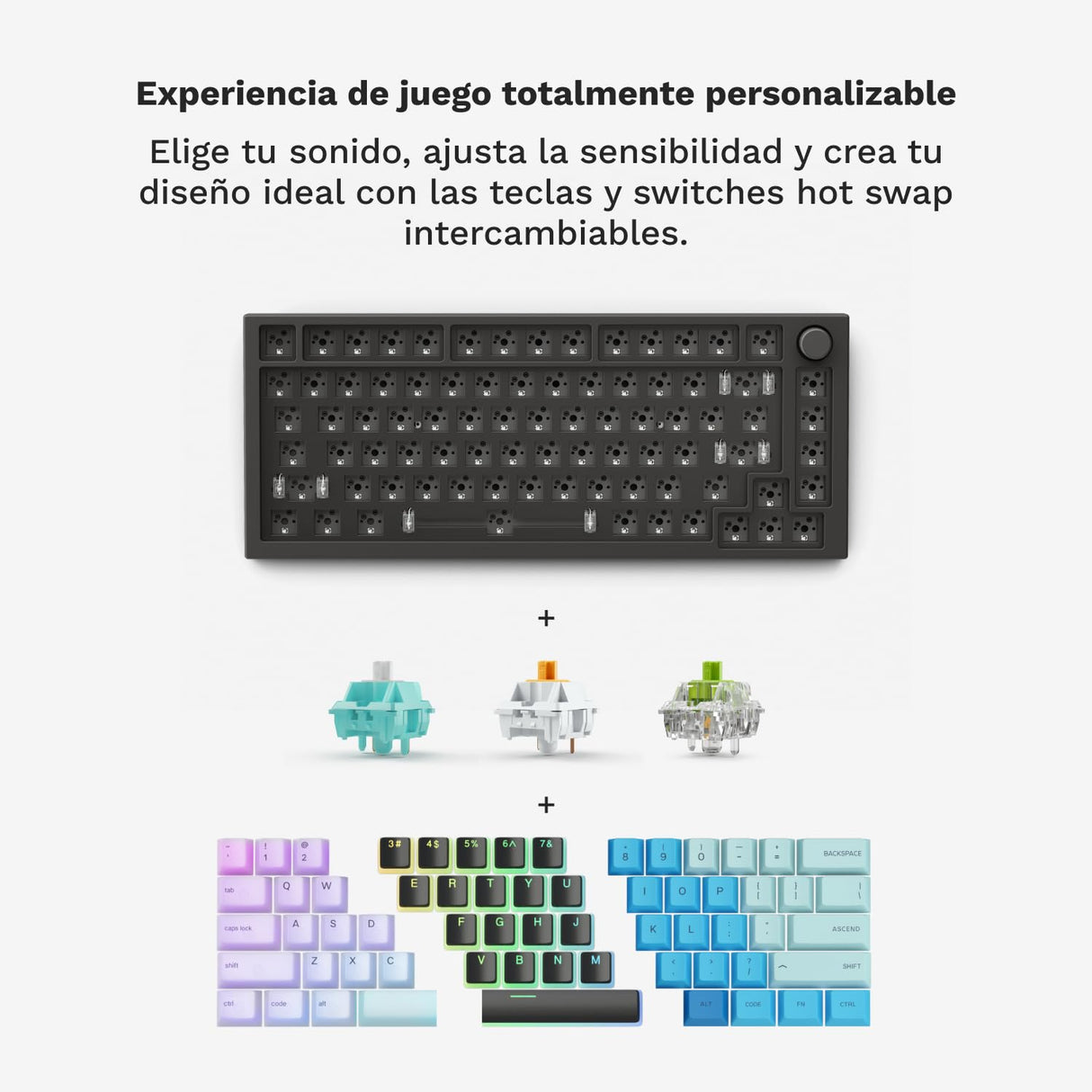 Glorious Gaming GMMK PRO 75% Barebones (solo carcasa) - Teclado gaming mecánico modular, TKL, carcasa de 1,5 kg, RGB, personalizable, switches de 5 pines, distribuciones internacional / ISO - Negro