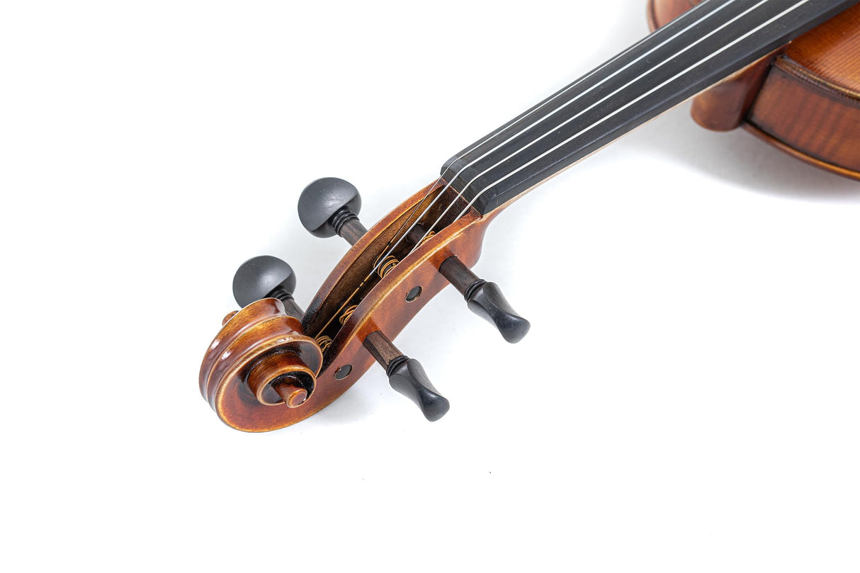 GEWA Violín serie Maestro 2 VL 4, 1/2 listo para jugar, incluye estuche de violín, arco Massaranduba y cuerdas Larsen Aurora