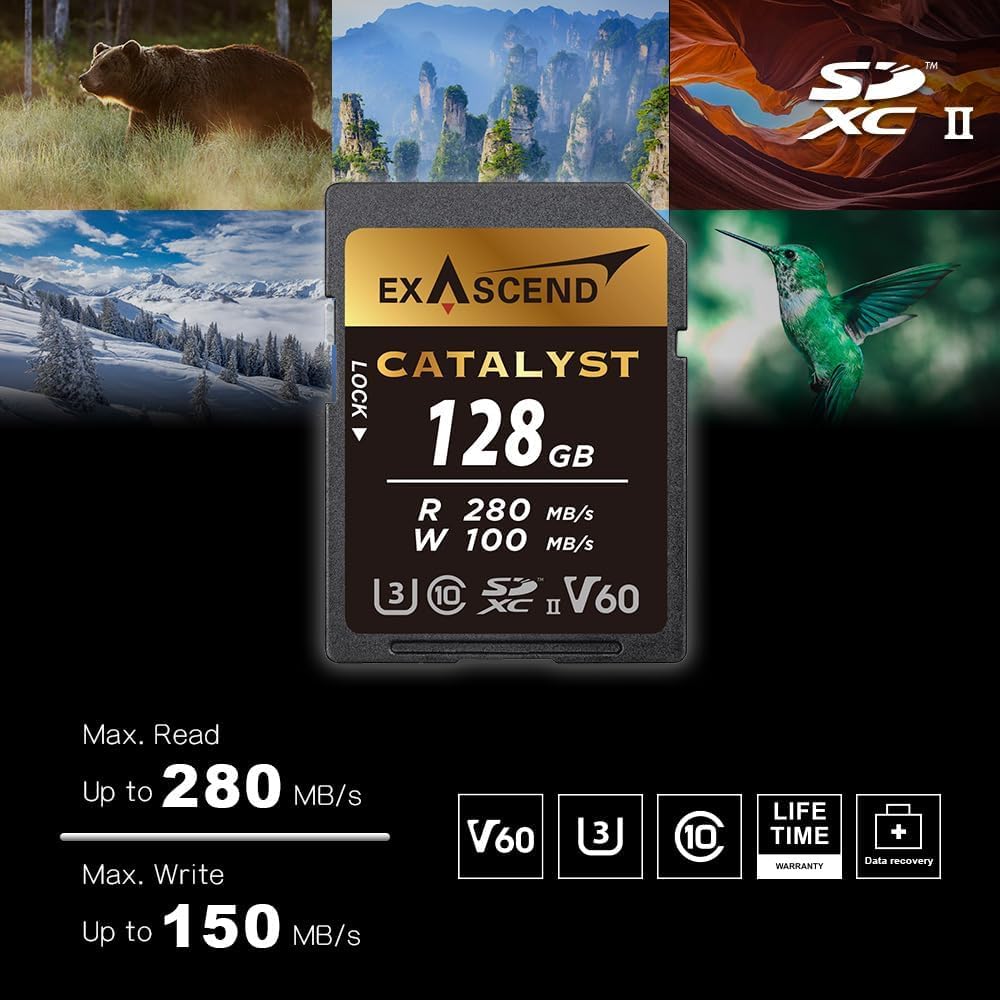 Exascend Catalyst - Tarjeta de Memoria SDXC UHS-II V60 de 256 GB 4K UHD de hasta 180 MB/s velocidades de Escritura, UHS-II, Clase 10, U3, V60