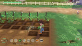 Story of Seasons: A Wonderful Life Premium Edition for Nintendo Switch [USA]