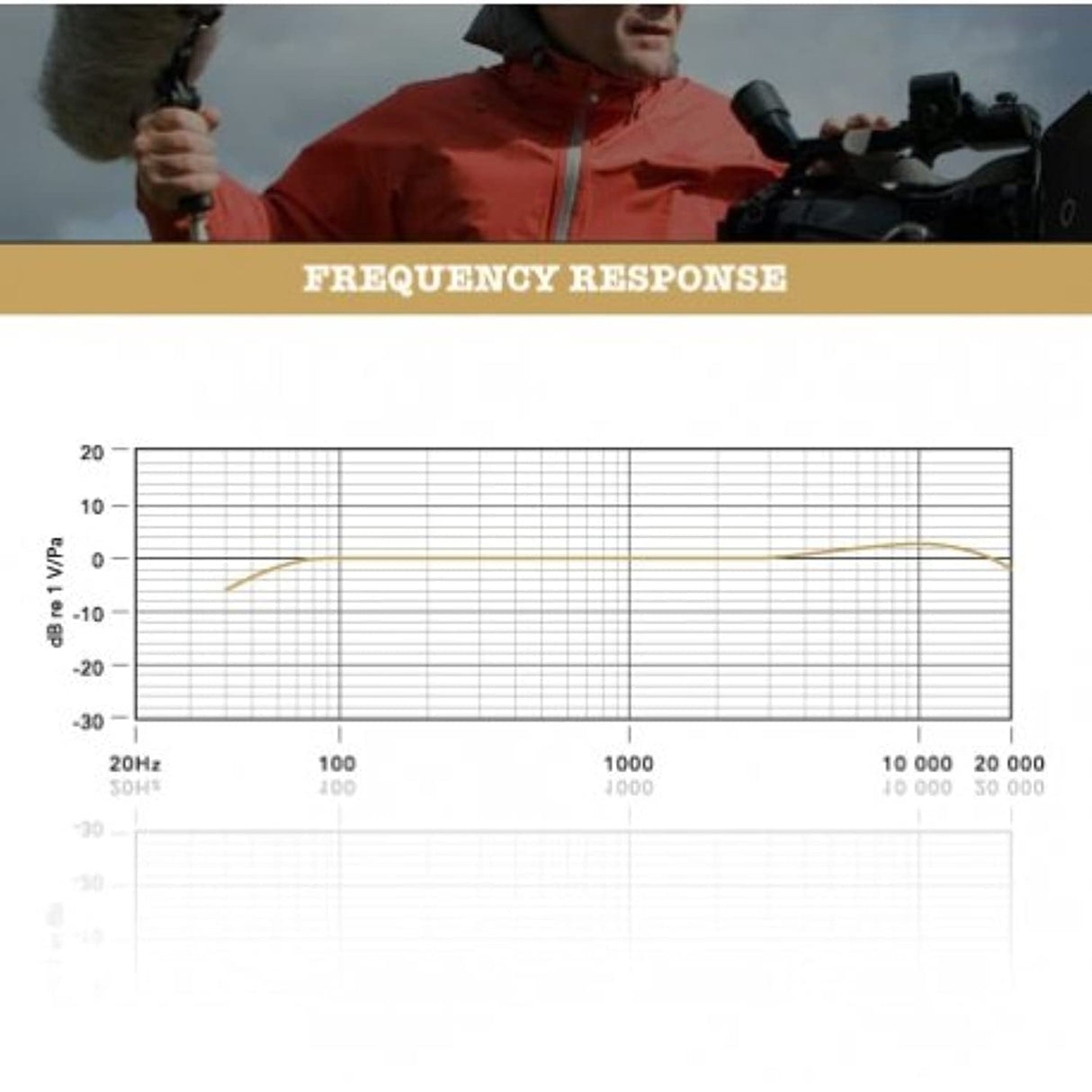 RØDE NTG3B Micrófono de cañón de condensador supercardioide de precisión en negro RØDE NTG3 con bias RF para grabación en exteriores, foley y locuciones
