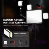 NEEWER Basico Kit Iluminación Panel Luz Video LED 2 Paquetes con 2 59'' Soportes y 2 Soportes Teléfono, 850lx/0.5m Bi Color 2700K-6500K Luz de Estudio Regulable para Foto Grabación Live Stream, BP300