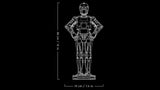 LEGO Star Wars 75398 C-3PO Figura de Droide - Kit de Maquetas para Adultos de Colección - Base, Placa Informativa y Minifigura - Regalo para Hombres y Mujeres Fans de la Saga