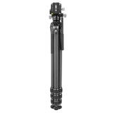 Vanguard Alta Pro 3VL 264CV14 - Trípode de vídeo de Carbono, rótula Veo PV-14 y Base niveladora