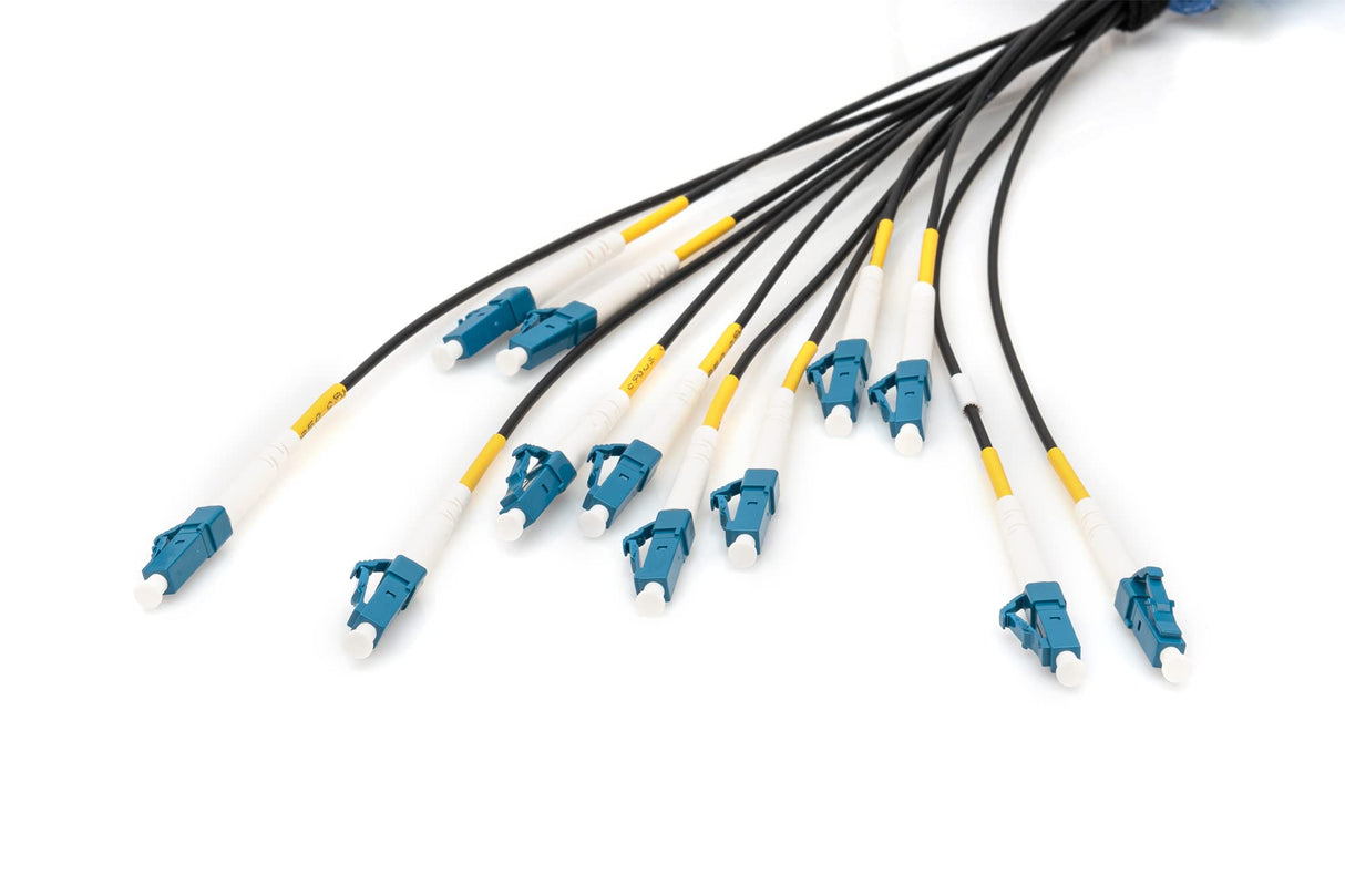 DIGITUS DK-2A33CU100BK-BBB, Cable De Fibra Óptica OS2, 100 m, LC (UPC) a LC (UPC), Cable Breakout De 12 Fibras, 1/10 Gbit/s, Cable De Fibra Óptica Monomodo SM, Fibra: G.657.A1 9/125 µ, Negro