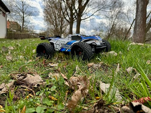 DF Models Z-10 Competition Truggy BR Brushed RTR (L x A x A 50 x 36 x 23 cm, Aprox. 3600 g, Escala 1:10XL, hasta 40 km/h, a Partir de 14 años, Incluye batería y Cable de Carga USB, Coche teledirigido