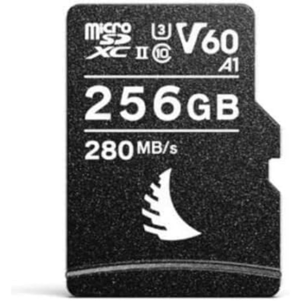 ANGELBIRD AV Pro microSD (256 GB) V60