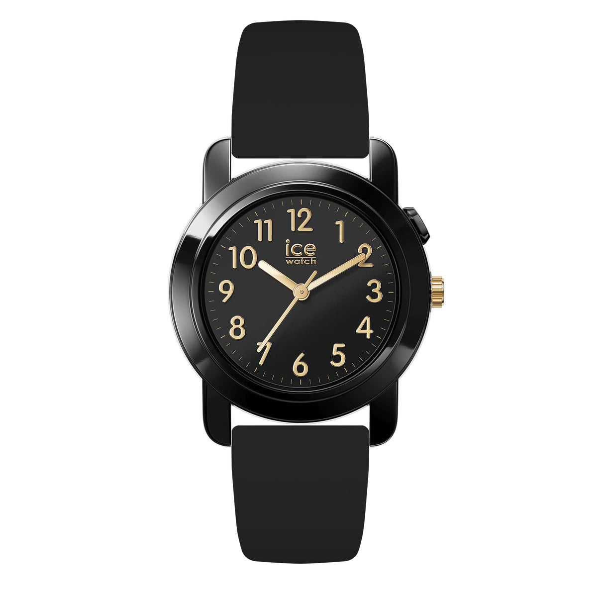 Ice-Watch Watch 024917
