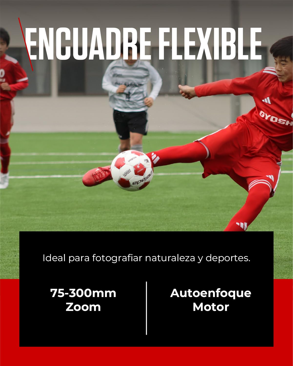 Canon Objetivo RF 75-300mm F4-5.6 | Teleobjetivo Zoom Ligero para Fotografía de Naturaleza y Deportes | Enfoque Automático y Revestimiento Super Spectra | Compatible con Cámaras Canon EOS R