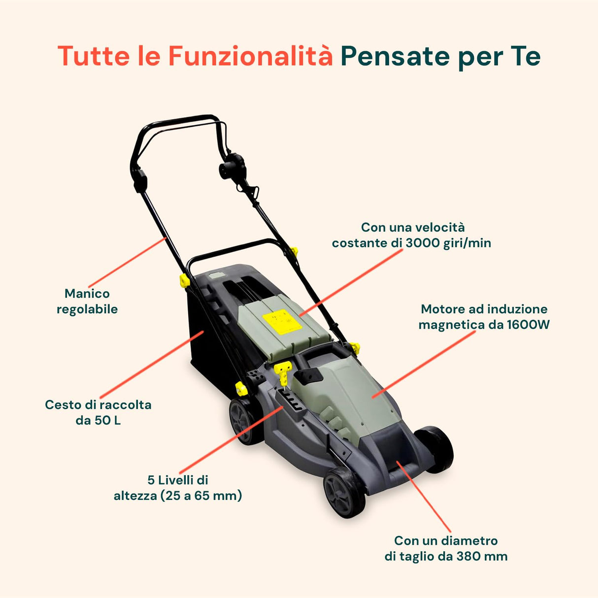 Cortacésped eléctrico de inducción – Cortacésped Ajustable, 5 Alturas de Corte, diámetro de Corte 380 mm, Velocidad 3000 RPM, 1600 W, 230 V, con Cesta de Recogida 50 l, 143 x 105 x 55 cm