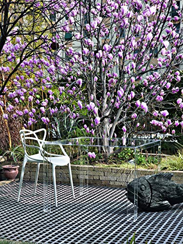 Kartell - Mesa invisible, PMMA, transparente, 100 x 100 x 72 cm