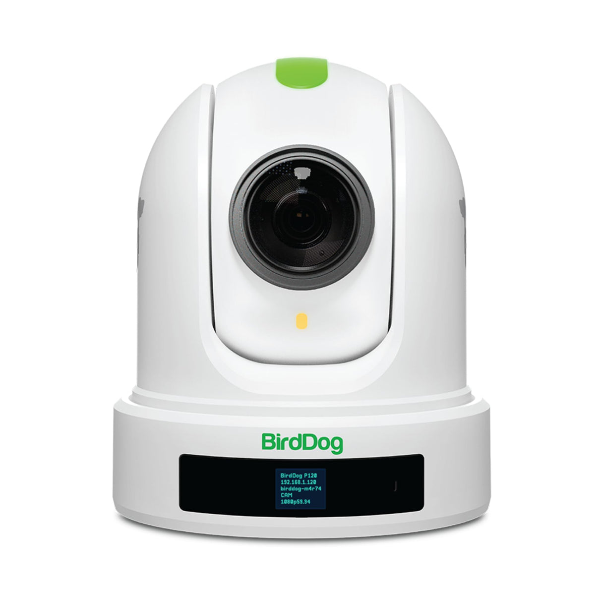 BirdDog P110 PTZ Camera 1080P with 10x Zoom, OLED Screen