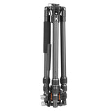 Vanguard Vesta GO 234CV10 - Trípode de Viaje de Carbono, rótula de vídeo
