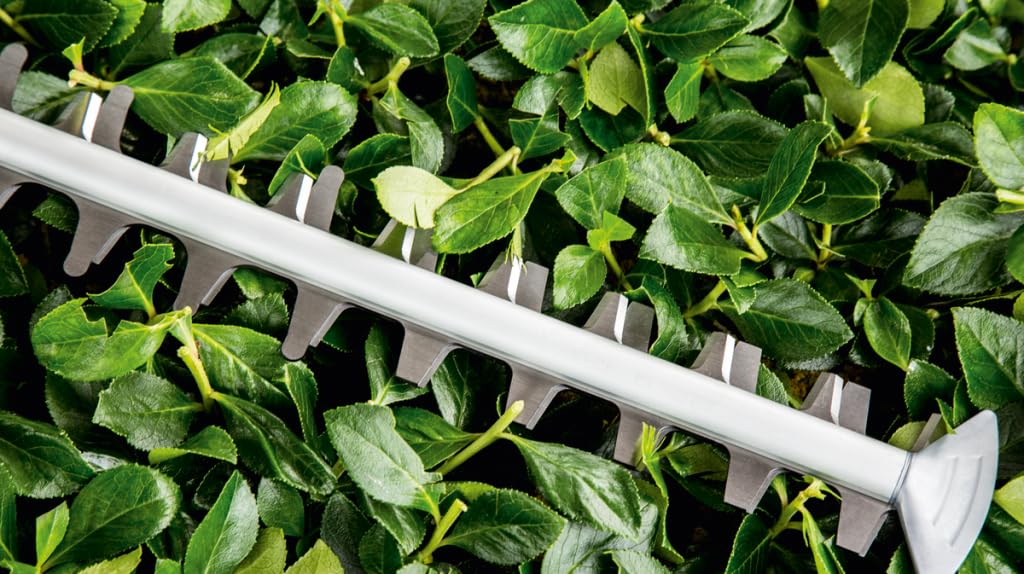 Bosch Home and Garden 06008C0703 Cortasetos Eléctrico UniversalHedgeCut 60, 480 W, Longitud de las Cuchillas: 60 cm, para Setos Medianos, Apertura de los Dientes: 30 mm, en Caja