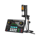 MAONO AME2A - Interfaz de audio USB-C AME2A, efectos integrados, entrada XLR e Inst, micrófono incluido