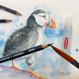 DERWENT Lápices Derwent Solubles en Agua, Para Pintar y Dibujar, Set de 48 en Caja de Madera de Regalo, Ideal para Matizar y Crear Capas, Calidad Profesional, 0700758