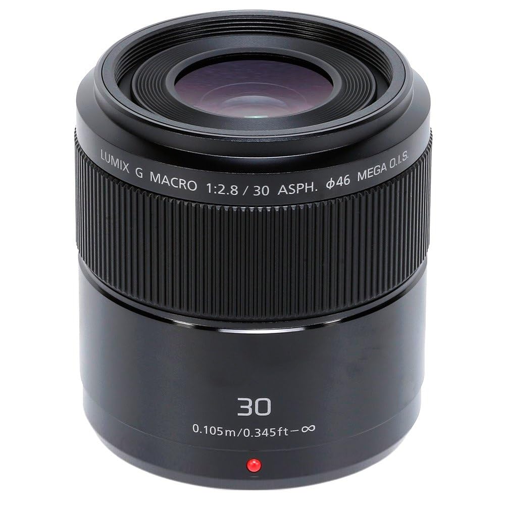Panasonic LUMIX H-HS30 - Objetivo Macro para cámaras de montura M4/3 (Focal 30 mm, F2.8, tamaño filtro 46 mm, lentes asféricas, MEGA O.I.S), negro
