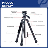 Fotopro X-Aircross 3 Video 157,5 cm Trípode de Viaje Ligero con Cabeza fluida 1,1 kg Ultraligero portátil Profesional de Fibra de Carbono para cámara DSLR Carga hasta 10 kg