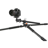 Vanguard Veo 3+ 263CB160S - Trípode Fibra Carbono multiángulo rótula Bola Foto