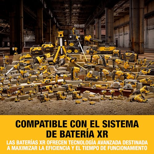 DEWALT Taladro percutor sin escobillas XR 12V con 2 baterías XR Li-Ion de 2Ah y un cargador en caja TSTAK, DCD706D2-QW