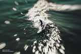 Lensbaby - Composer Pro II con Sweet 50 Lens - para Canon EF - Sweet Spot of Focus - Desenfoque de ensueño paisajes y Retratos ambientales