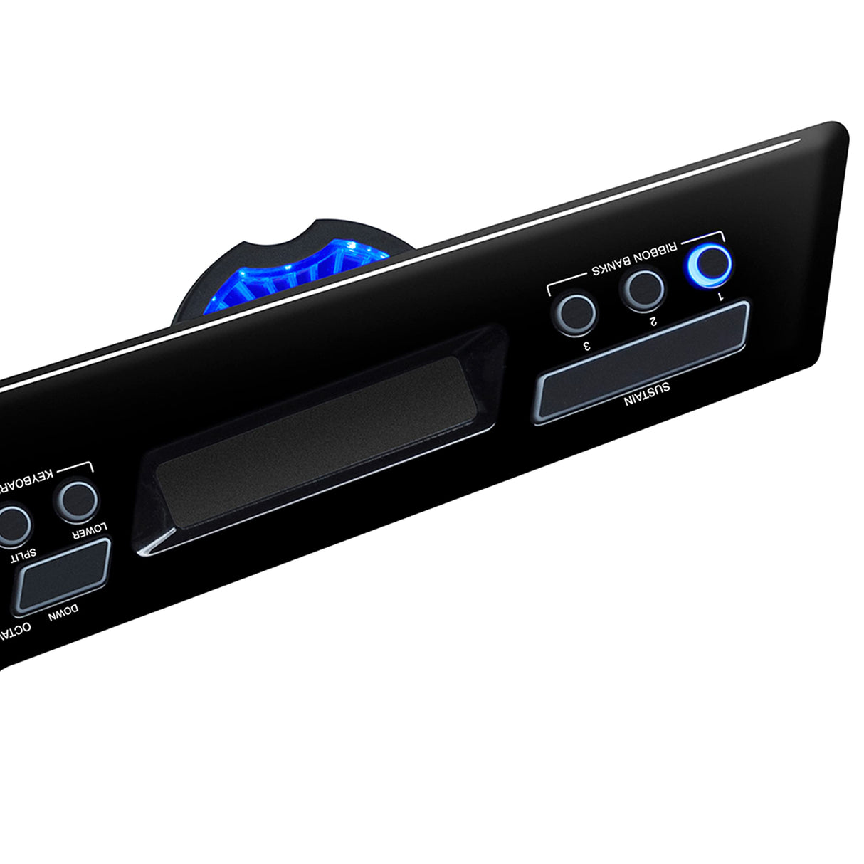 Alesis Vortex Wireless 2 - Keytar Inalámbrico con teclado controlador USB MIDI de Alto Rendimiento con sensor de inclinación y un paquete de software profesional