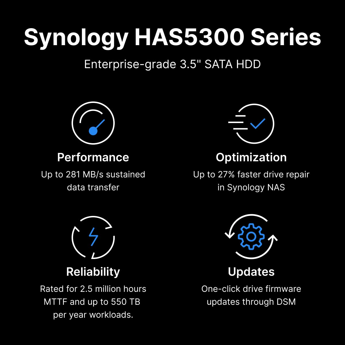 Synology HDD SAS de 3.5 Pulgadas HAS5300 de 12 TB (HAS5300-12T)