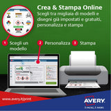 Avery España L6009-100, Etiquetas adhesivas plateadas resistentes intemperie y agua, 45,7x21,2mm, caja de 4800 etiquetas