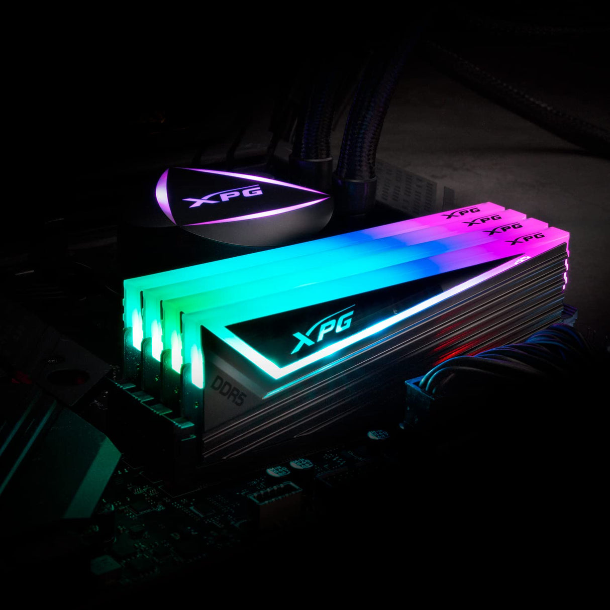 ADATA XPG MÓDULO DRAM Caster RGB DDR5 6400 MHz, 16GB (1 x 16GB), CL40, Negro